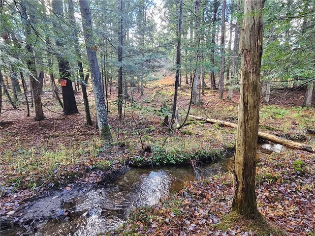 $99,000 | 7208 Chases Lake Road, Watson, NY 13343