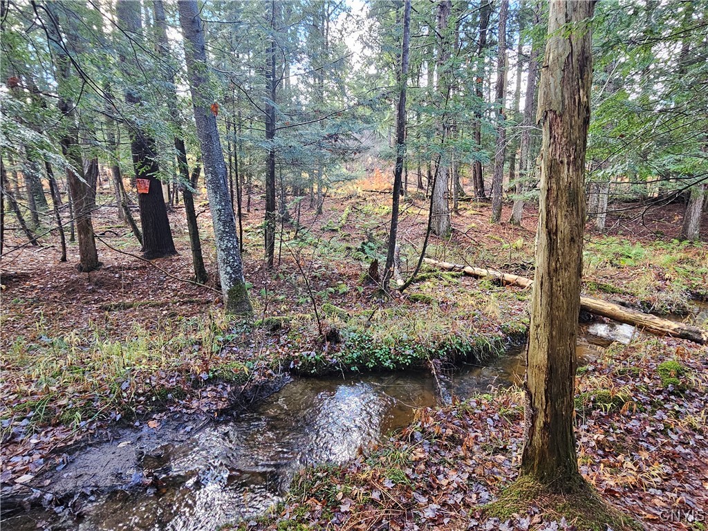 7208 Chases Lake Road Watson, NY 13343 - Photo 24 of 30