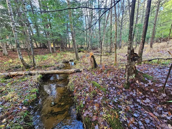 $70,000 | 7208 Chases Lake Road, Watson, NY 13343