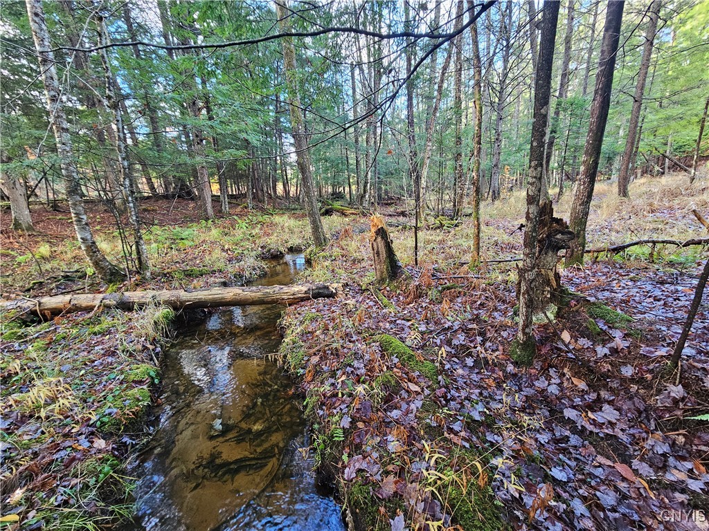7208 Chases Lake Road Watson, NY 13343 - Photo 25 of 30