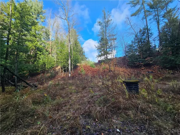 $70,000 | 7208 Chases Lake Road, Watson, NY 13343