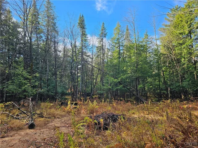 $99,000 | 7208 Chases Lake Road, Watson, NY 13343