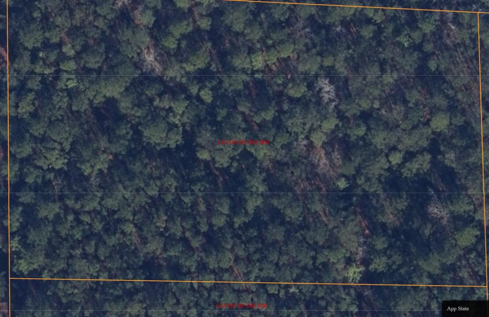 2076 Highway 61 Ridgeville, SC 29472 - Photo 4 of 10 Vacant Land - Dorchester County