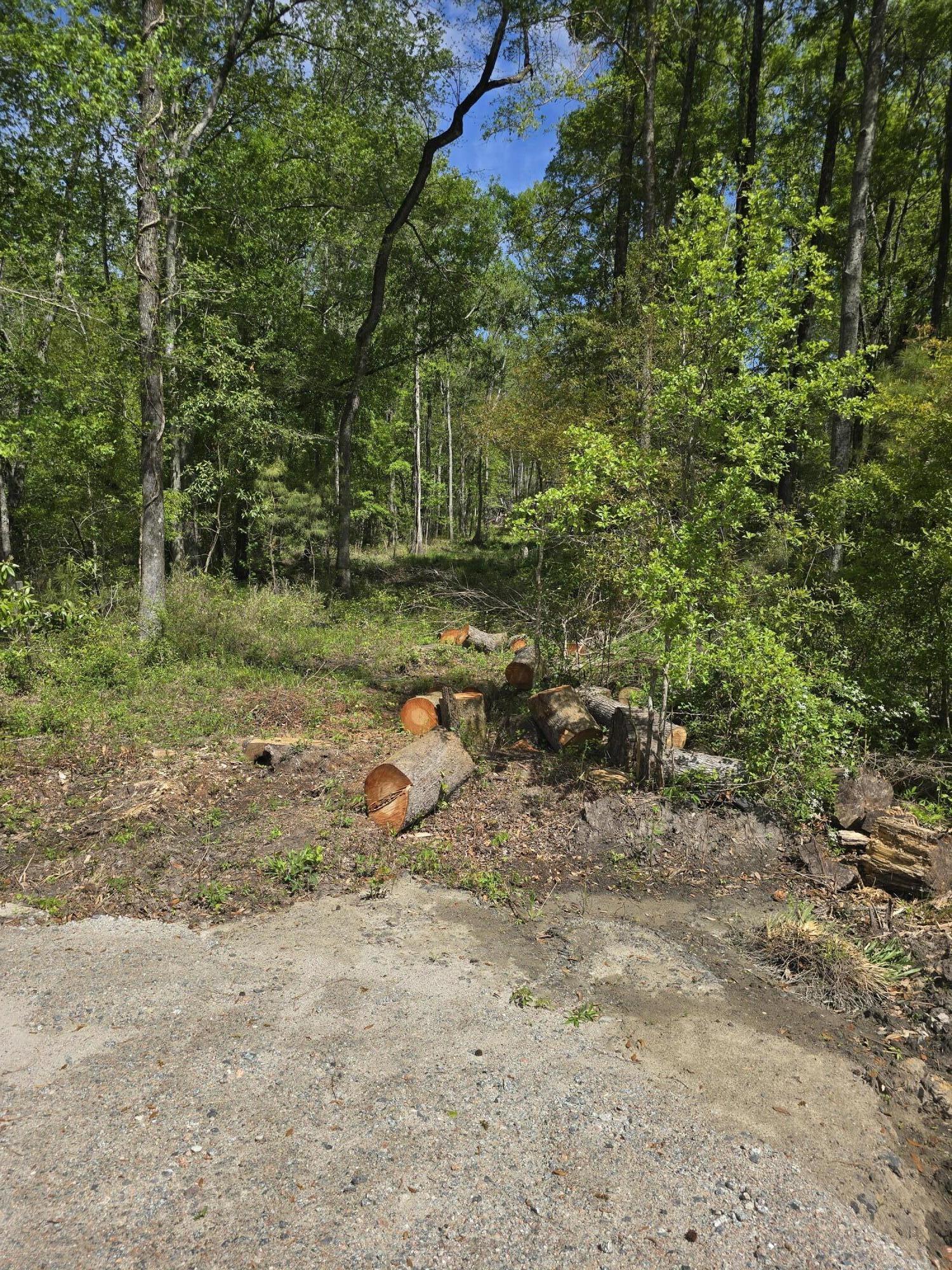 2076 Highway 61 Ridgeville, SC 29472 - Photo 7 of 10 20250405_120850