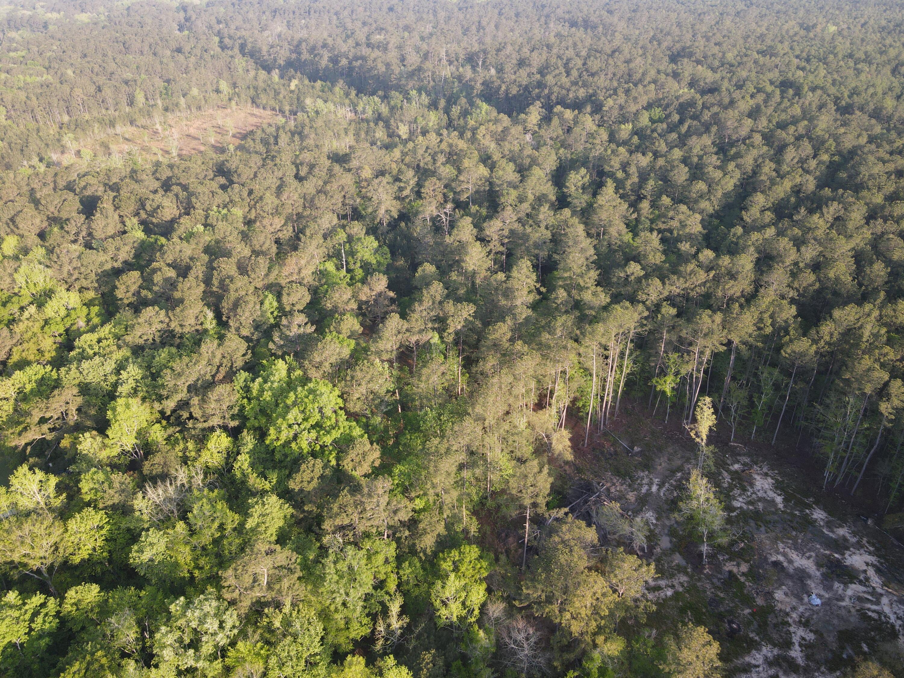 2076 Highway 61 Ridgeville, SC 29472 - Photo 9 of 10 DJI_0396