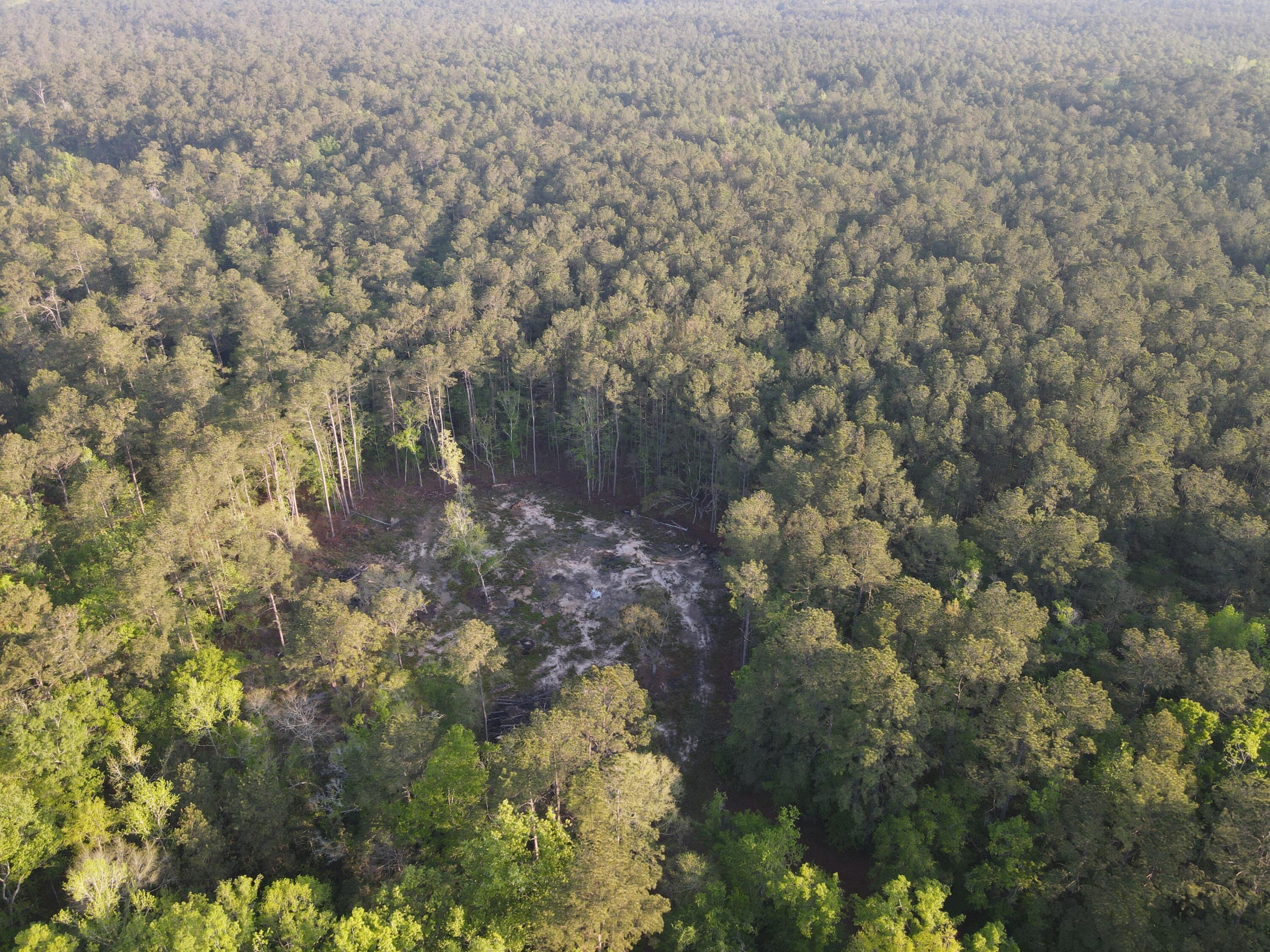 2076 Highway 61 Ridgeville, SC 29472 - Photo 10 of 10 DJI_0398