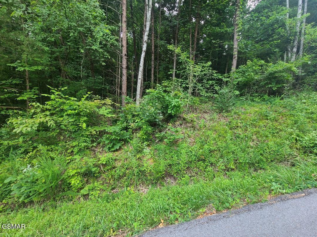 30 Hawkeye View Sevierville, TN 37876 - Photo 2 of 18