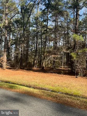 a view of snow on the side of the road