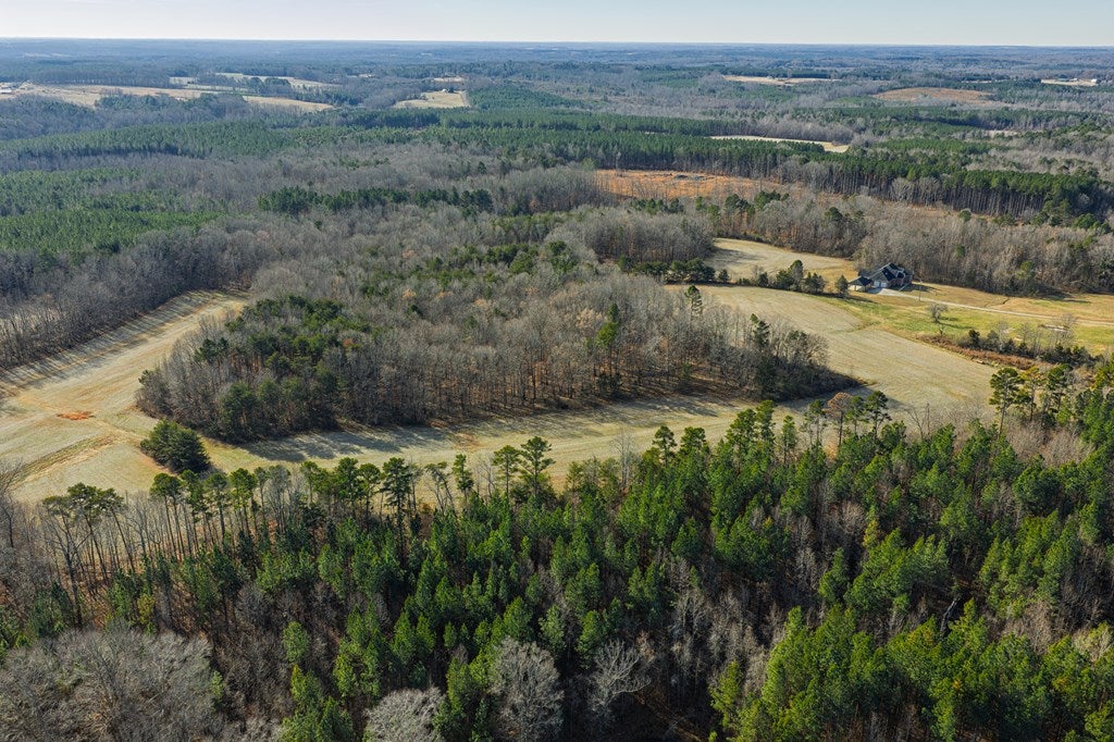 1105 Brooklyn Road Sutherlin, VA 24594 - Photo 22 of 77 Gallery Image 22