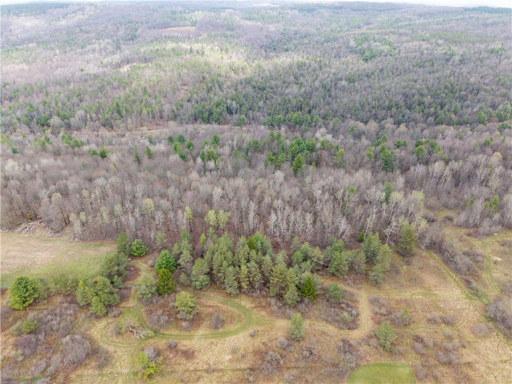 1951 Day Road Dansville, NY 14572 - Photo 43 of 45