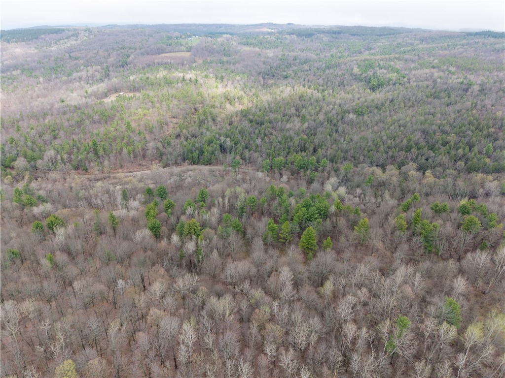 1951 Day Road Dansville, NY 14572 - Photo 44 of 45