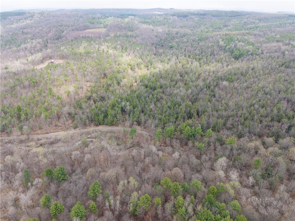 1951 Day Road Dansville, NY 14572 - Photo 45 of 45