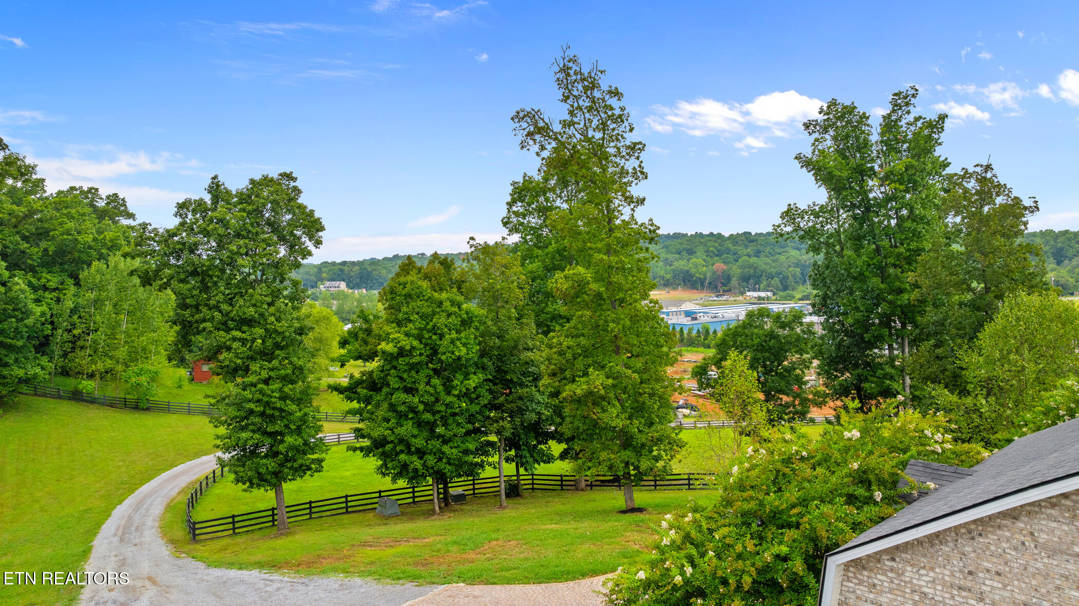 3631 Louisville Road Louisville, TN 37777 - Photo 11 of 50 Large Mature Privacy Trees