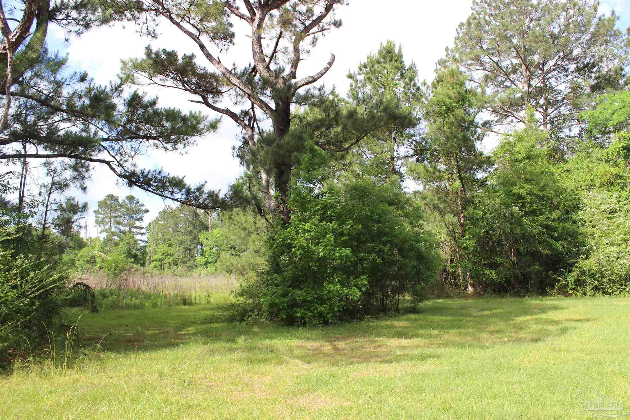 3230 Mason Road McDavid, FL 32568 - Photo 22 of 45