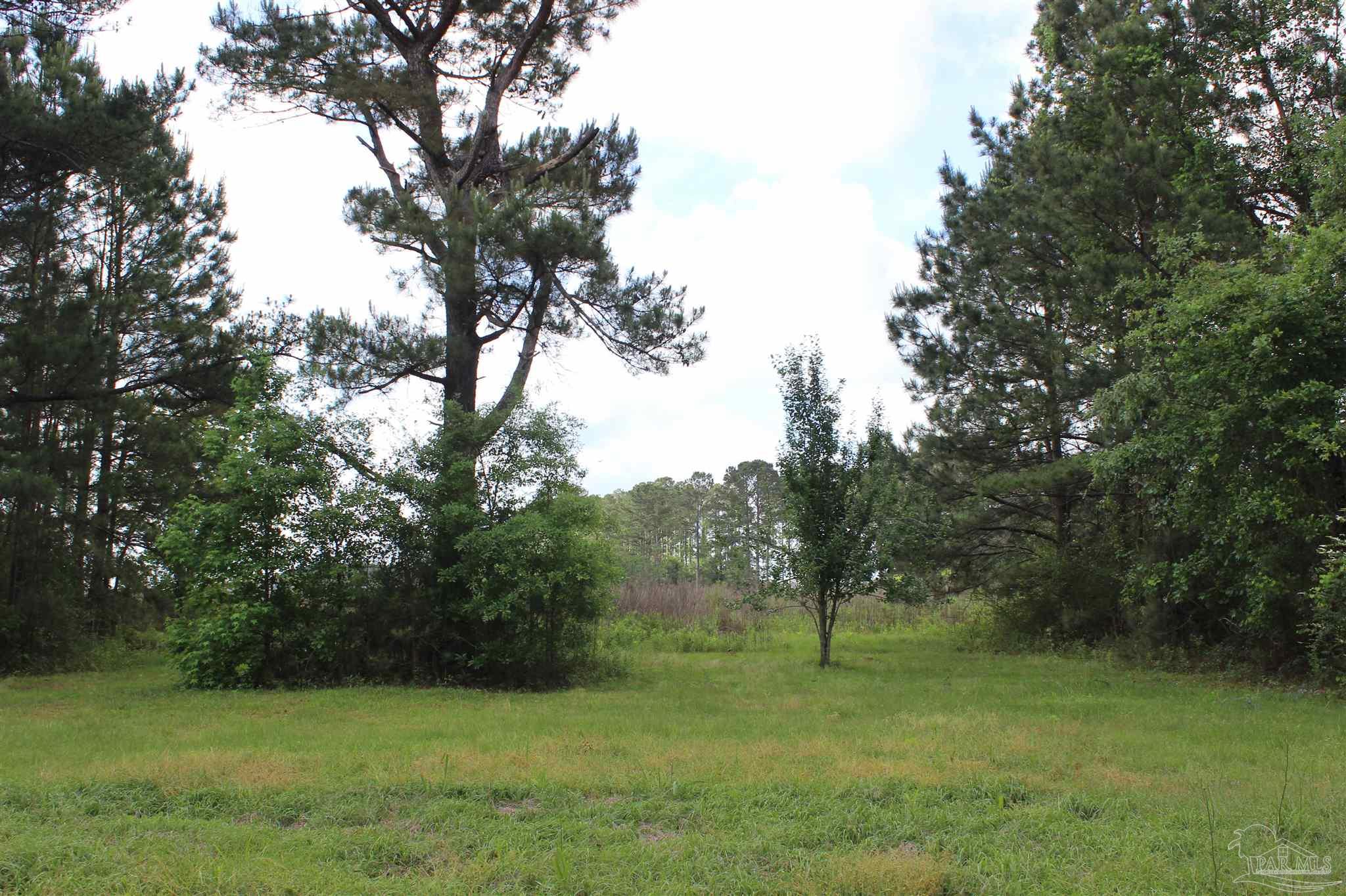 3230 Mason Road McDavid, FL 32568 - Photo 7 of 45