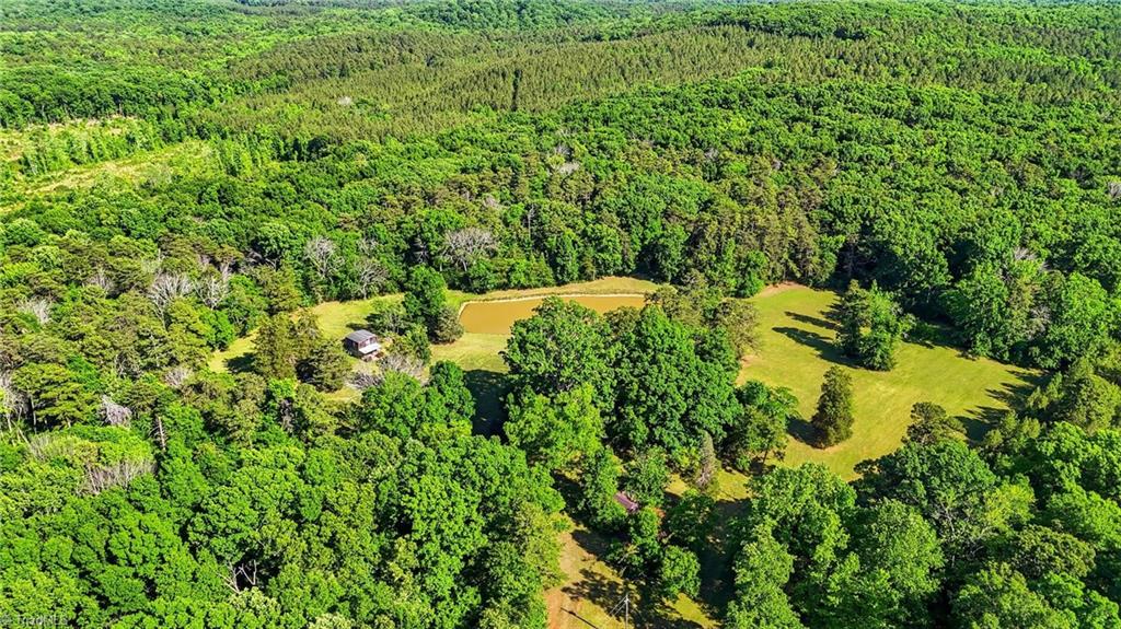 0 Bells Grove Road Denton, NC 27239 - Photo 27 of 47