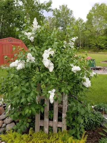 $475,000 | 12502 Van Horn Road, Floodwood, MN 55736