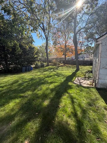 a view of a trees with a yard