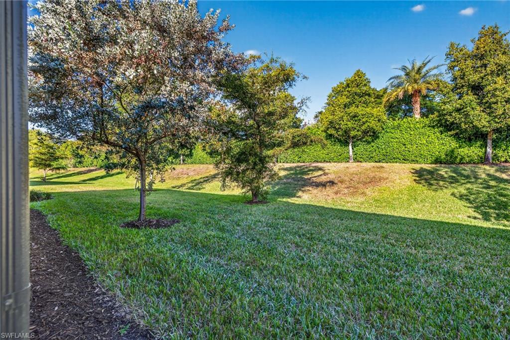14567 Edgewater Circle Naples, FL 34114 - Photo 29 of 44 a view of a yard with a tree