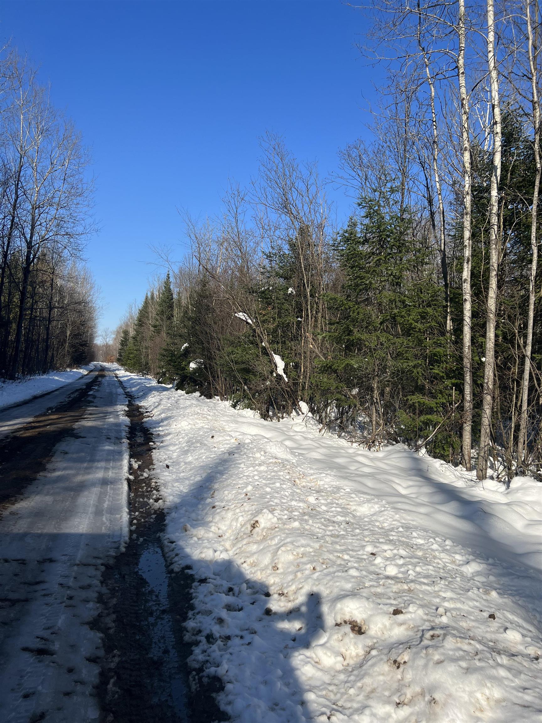 Irvin Road Kingsley, MI 49649 - Photo 1 of 14