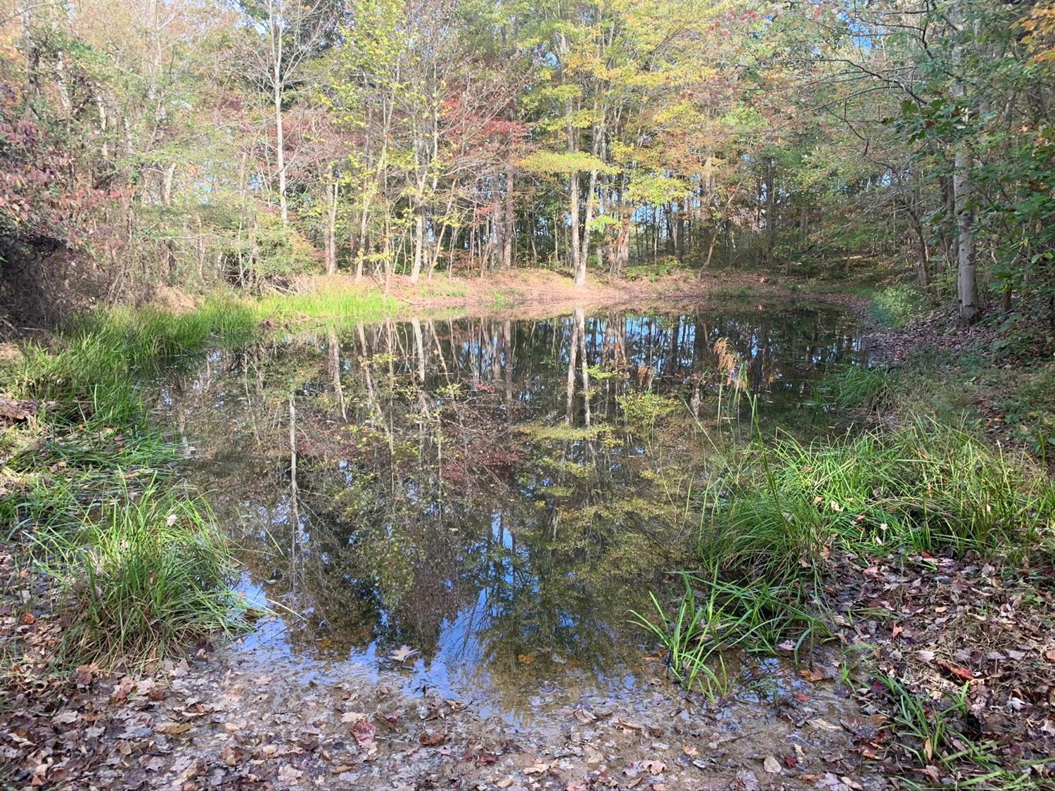 A Phipps Road Lucasville, OH 45648 - Photo 23 of 36 Gallery Image 23