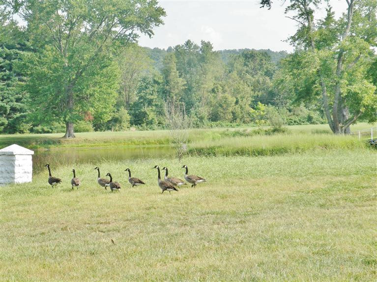4041 North Lake Road Morning View, KY 41063 - Photo 2 of 9 Gallery Image 2