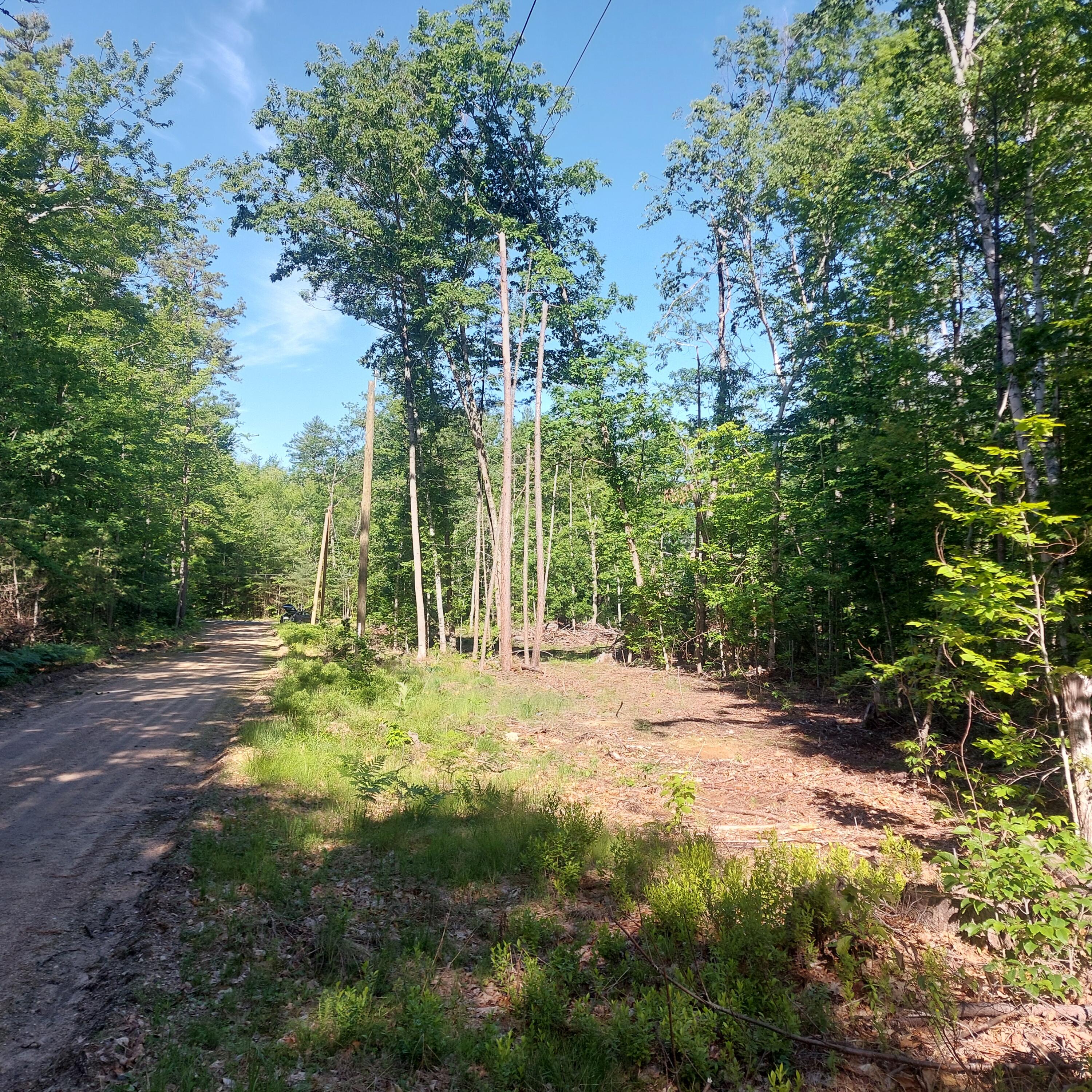 Lot 25 Sokokis Road Sebago, ME 04029 - Photo 20 of 29 viewdownsokokis