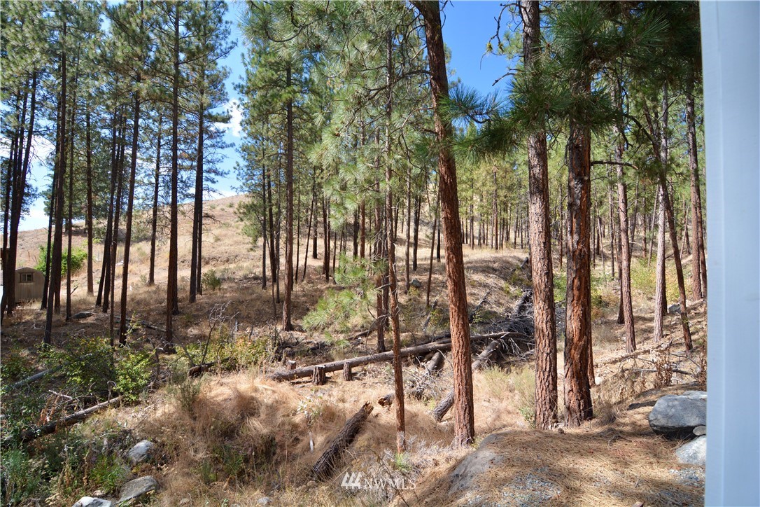 12 Sims Canyon Road Twisp, WA 98856 - Photo 16 of 21 Gallery Image 16