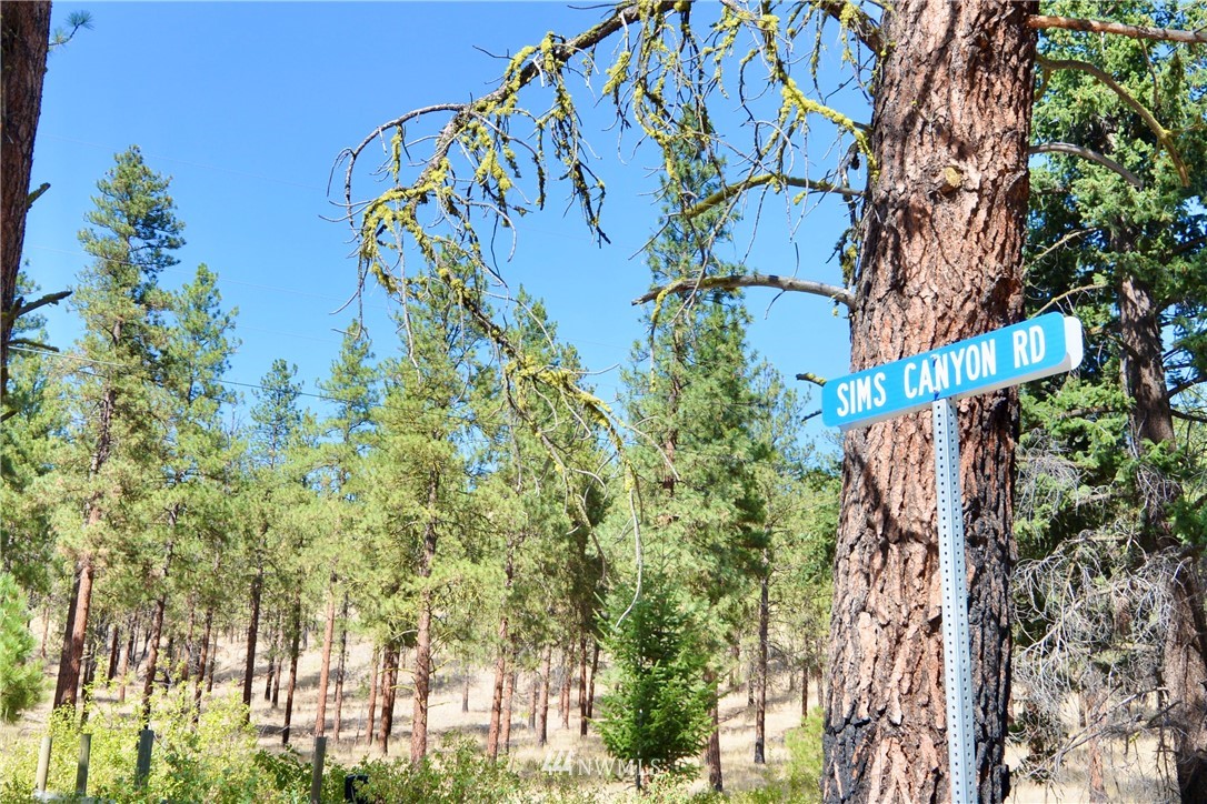 12 Sims Canyon Road Twisp, WA 98856 - Photo 19 of 21 Gallery Image 19