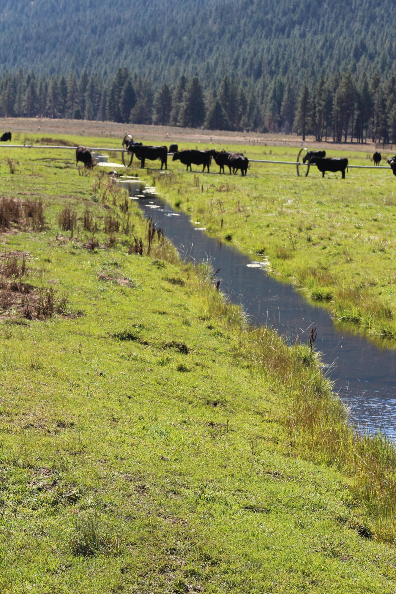 12046 Old Fort Road Klamath Falls, OR 97601 - Photo 26 of 59