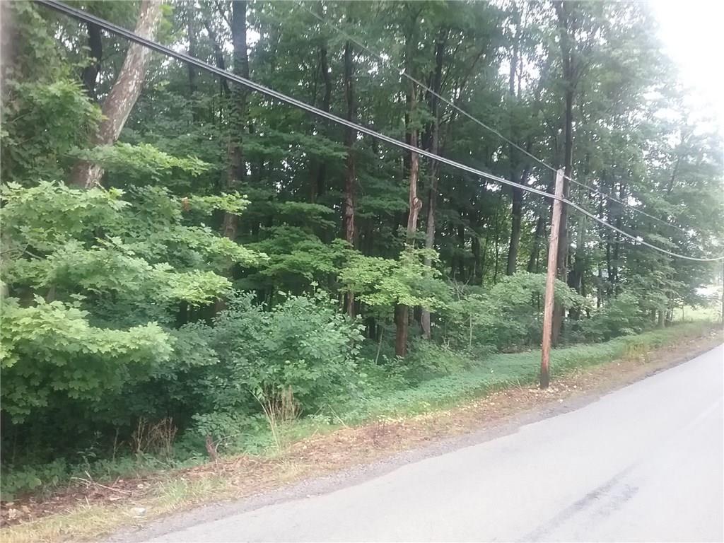 -1 Little Summit Road Dunbar, PA 15431 - Photo 3 of 12
