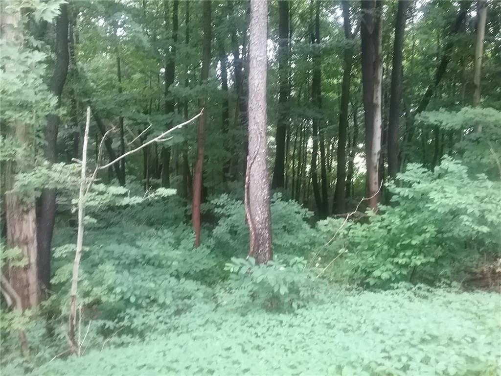 -1 Little Summit Road Dunbar, PA 15431 - Photo 4 of 12