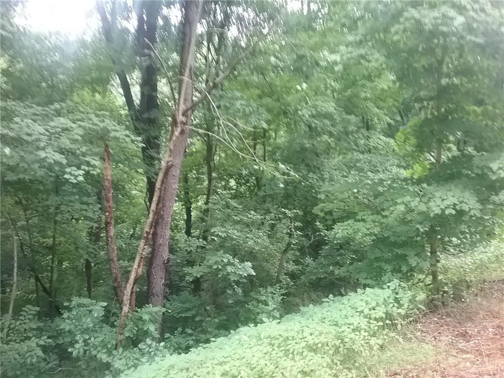 -1 Little Summit Road Dunbar, PA 15431 - Photo 10 of 12