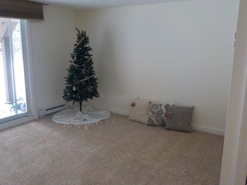 48 Orris Road, Unit H1 Thornton, NH 03285 - Photo 3 of 18