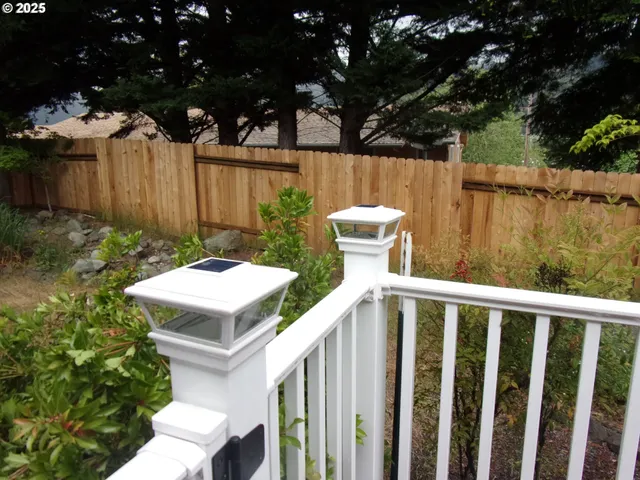 a view of a garden with plants