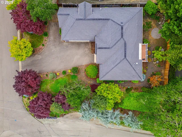 a view of a city with lush green forest