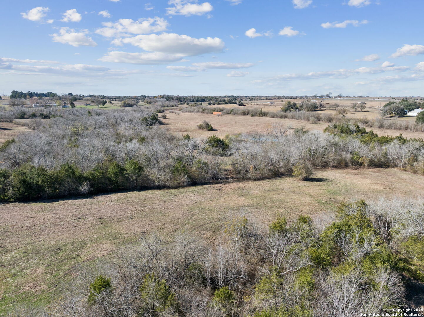 3424 Post Oak Point Road New Ulm, TX 78950 - Photo 19 of 27 a view of a dry yard