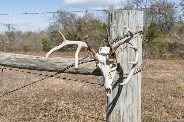 $1,465,000 | 3424 Post Oak Point Road, New Ulm, TX 78950