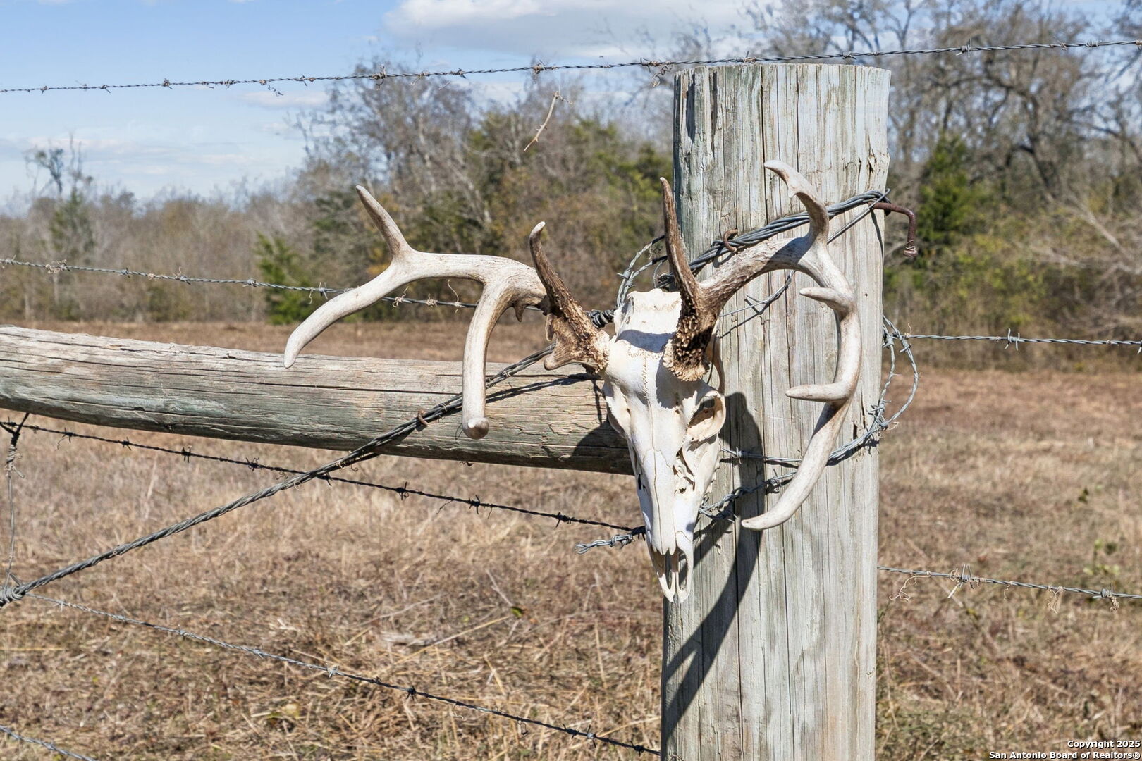3424 Post Oak Point Road New Ulm, TX 78950 - Photo 27 of 27
