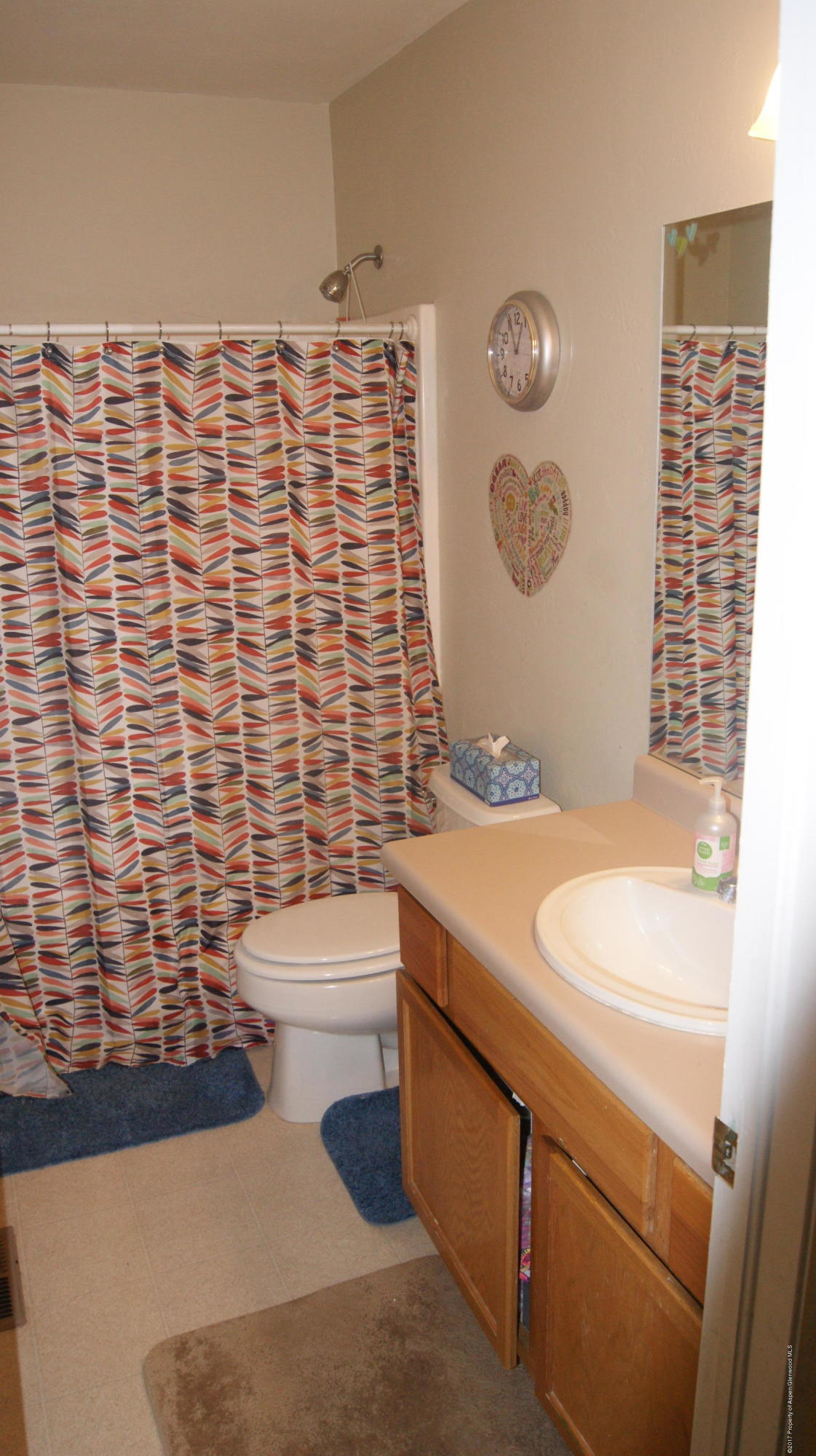 1010 West 24th Street Rifle, CO 81650 - Photo 14 of 18 DSC04250