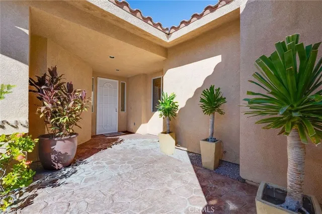 a potted plant sitting in front of a house