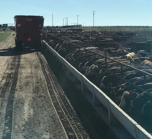 $2,390,000 | 881 Farm To Market Road 168, Brownfield, TX 79316