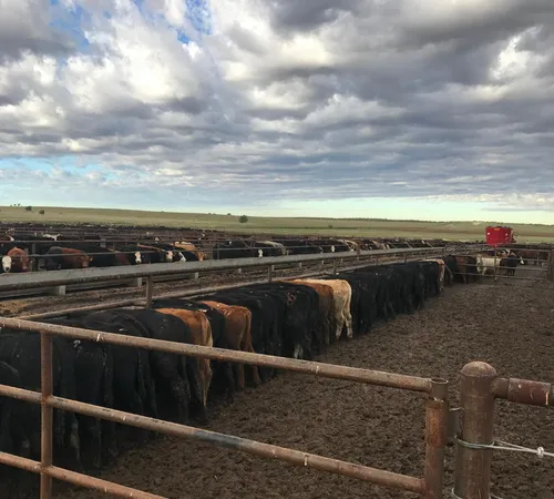 $2,390,000 | 881 Farm To Market Road 168, Brownfield, TX 79316
