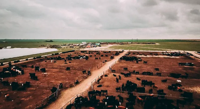 $2,390,000 | 881 Farm To Market Road 168, Brownfield, TX 79316