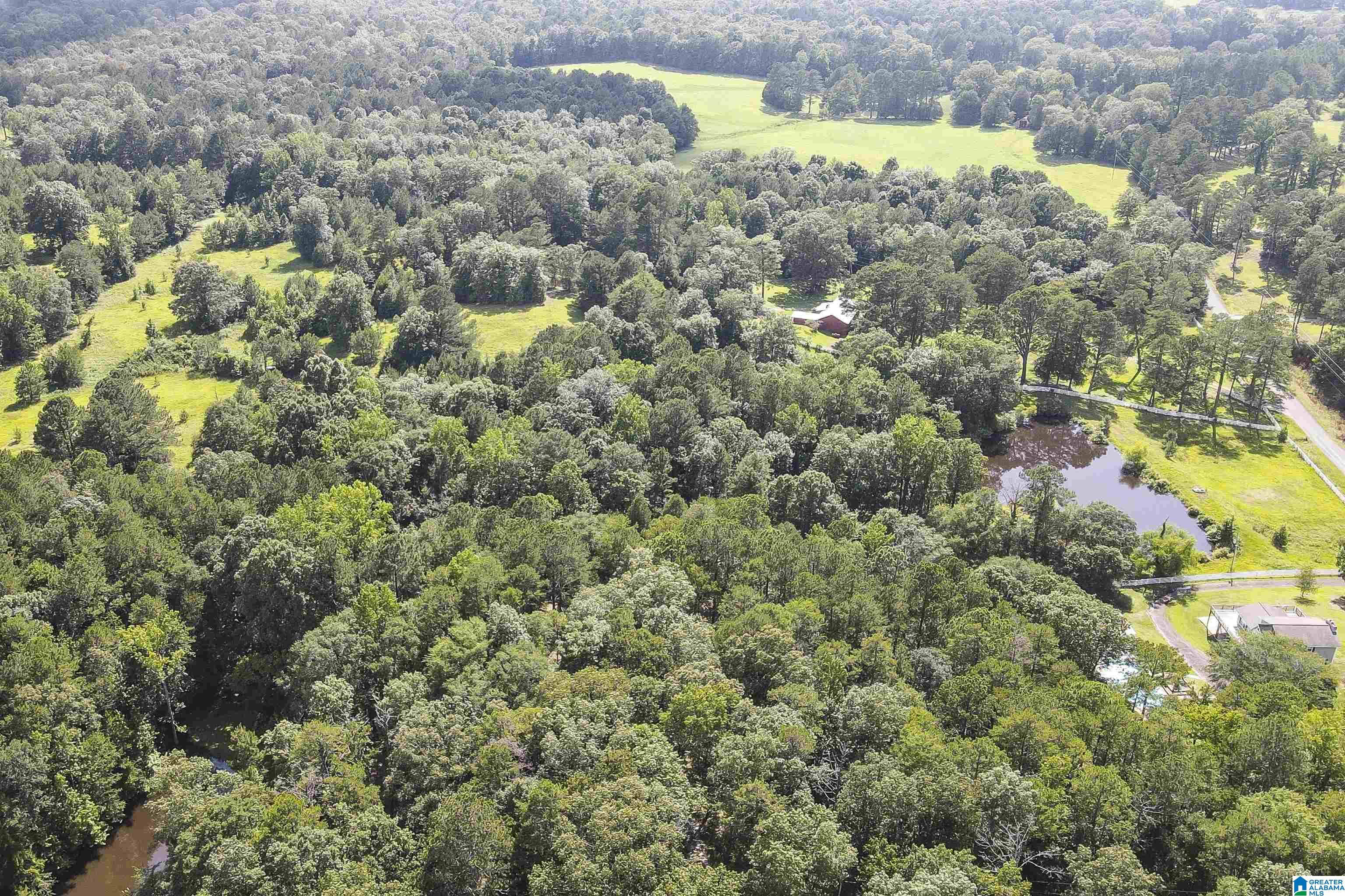3370 Kirkseys Bend Ohatchee, AL 36271 - Photo 85 of 92