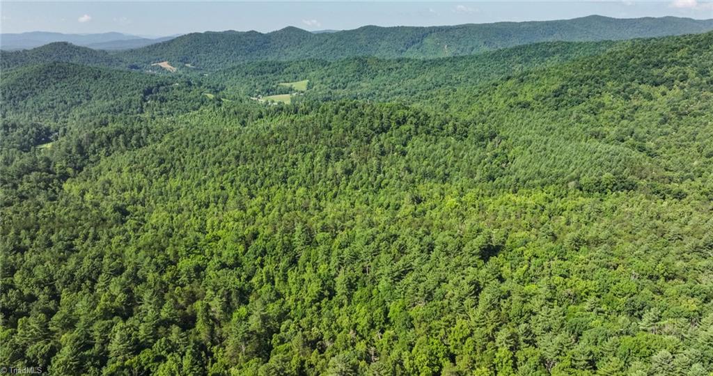 0 Boone Trail Purlear, NC 28665 - Photo 22 of 40 Gallery Image 22