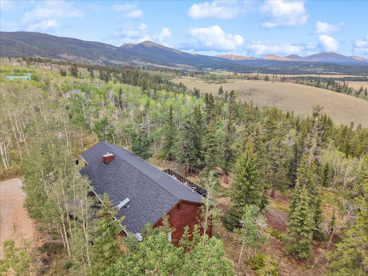 271 Sheep Ridge Road Fairplay, CO 80440 - Photo 3 of 50 Gallery Image 3
