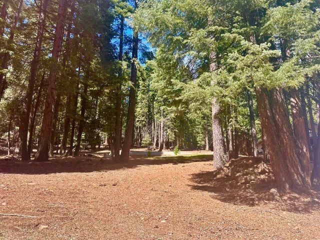 661 East Mountain Ridge Road, Unit 18 Lake Almanor, CA 96137 - Photo 1 of 4