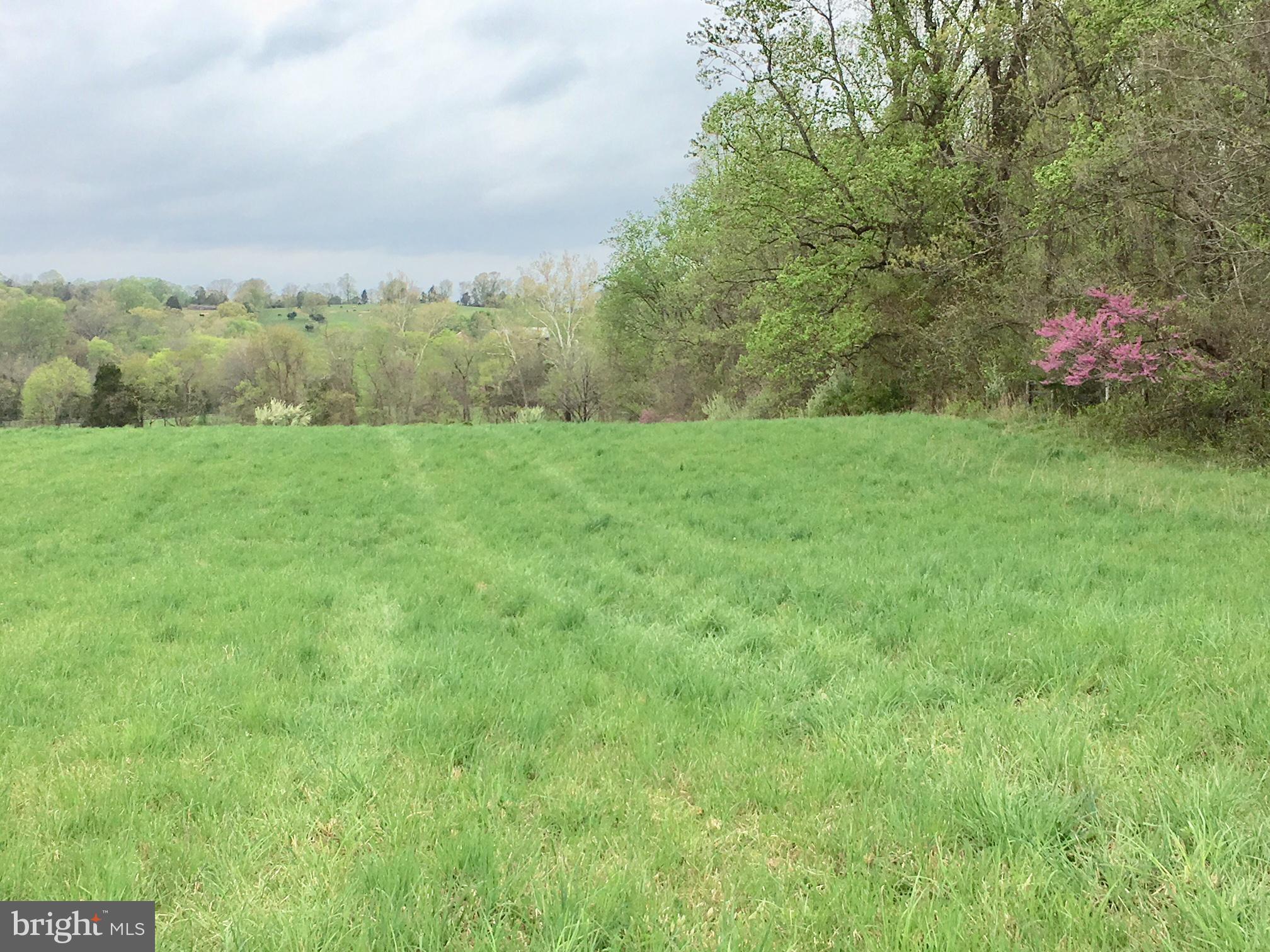 Holtzclaw Road Warrenton, VA 20186 - Photo 3 of 4 Gallery Image 3