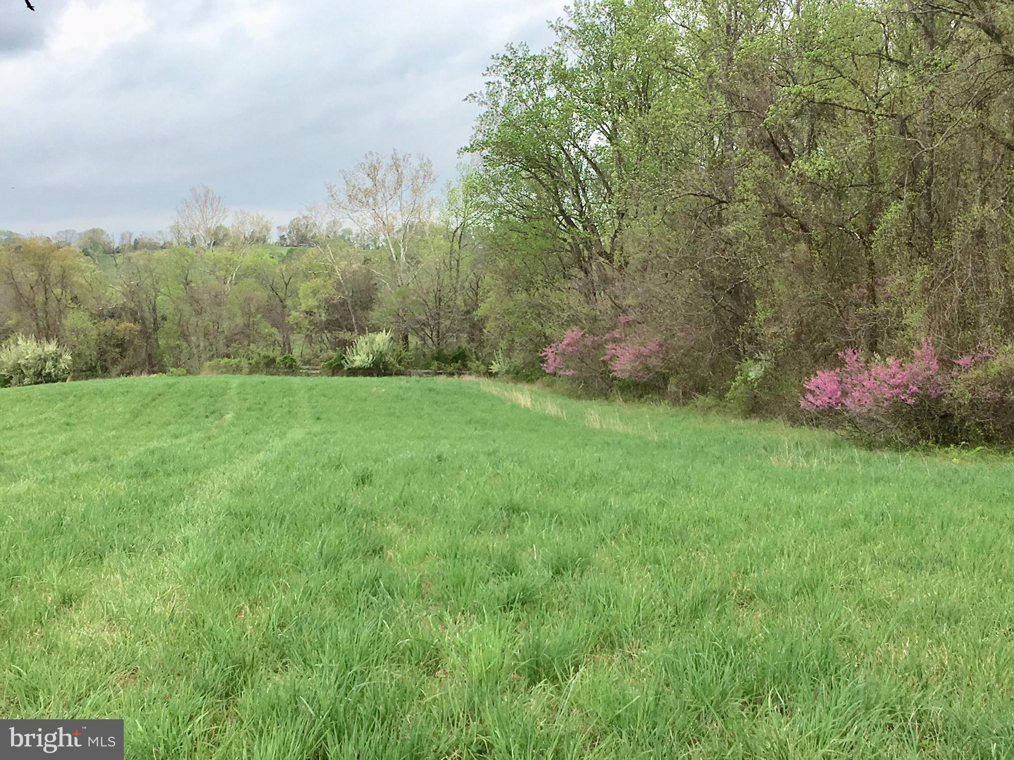 Holtzclaw Road Warrenton, VA 20186 - Photo 4 of 4 Gallery Image 4